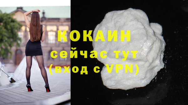 кокс Белокуриха