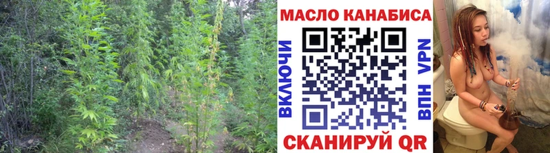 Купить где  Аргун  ТГК вейп с тгк 