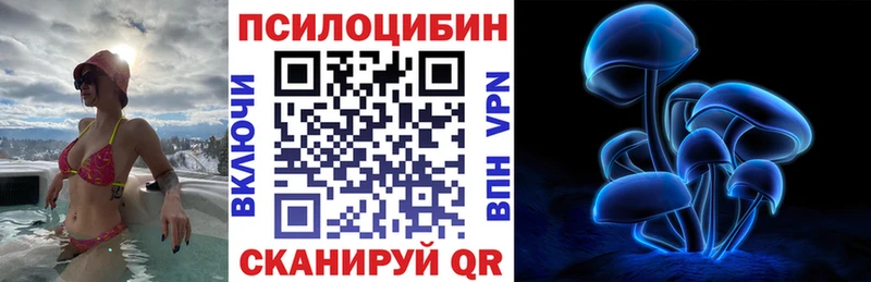 Купить  Аргун  Псилоцибиновые грибы мухоморы 